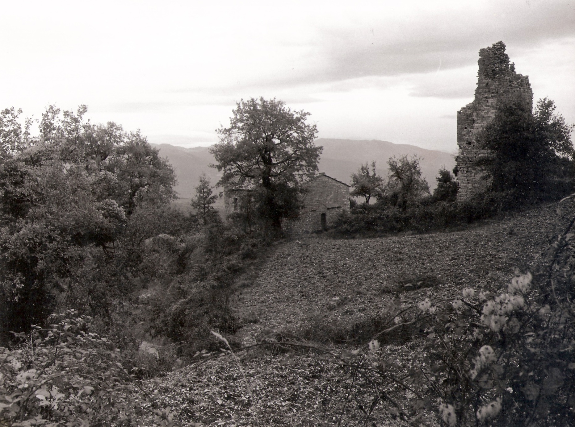 vision image