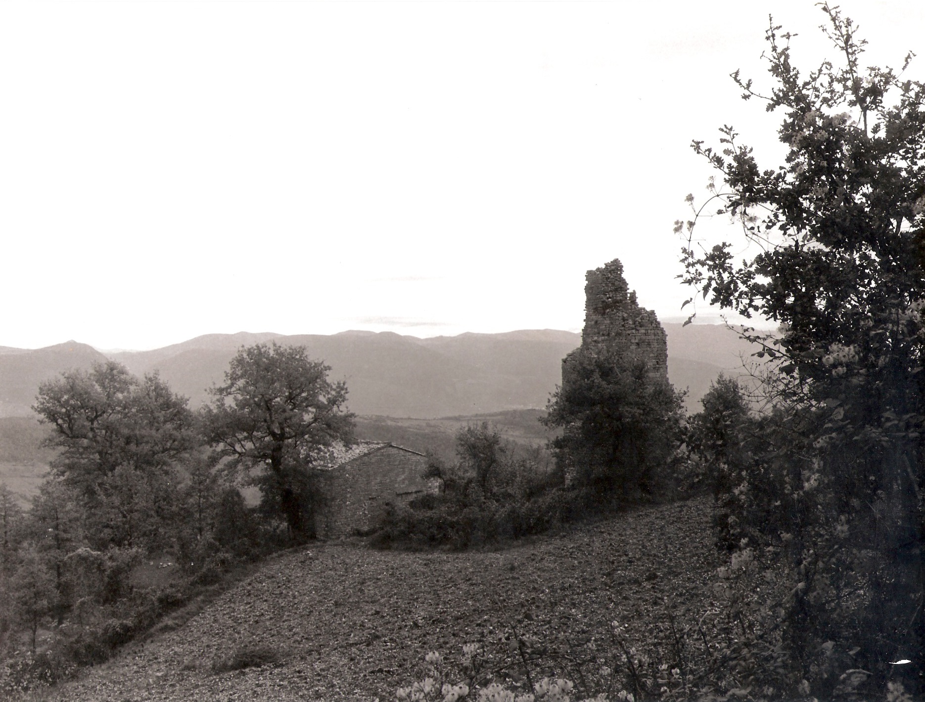 history image